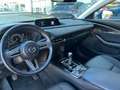 Mazda CX-30 CX-30 2.0 m-hybrid Executive 2wd 122cv 6mt Blauw - thumbnail 14