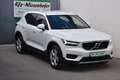 Volvo XC40 XC 40 T3 2WD Momentum Pro / Rückfahrkamera / Fina Weiß - thumbnail 1