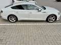 Audi A5 Sportback 2.0 TDI quattro Sport s-tronic Weiß - thumbnail 4