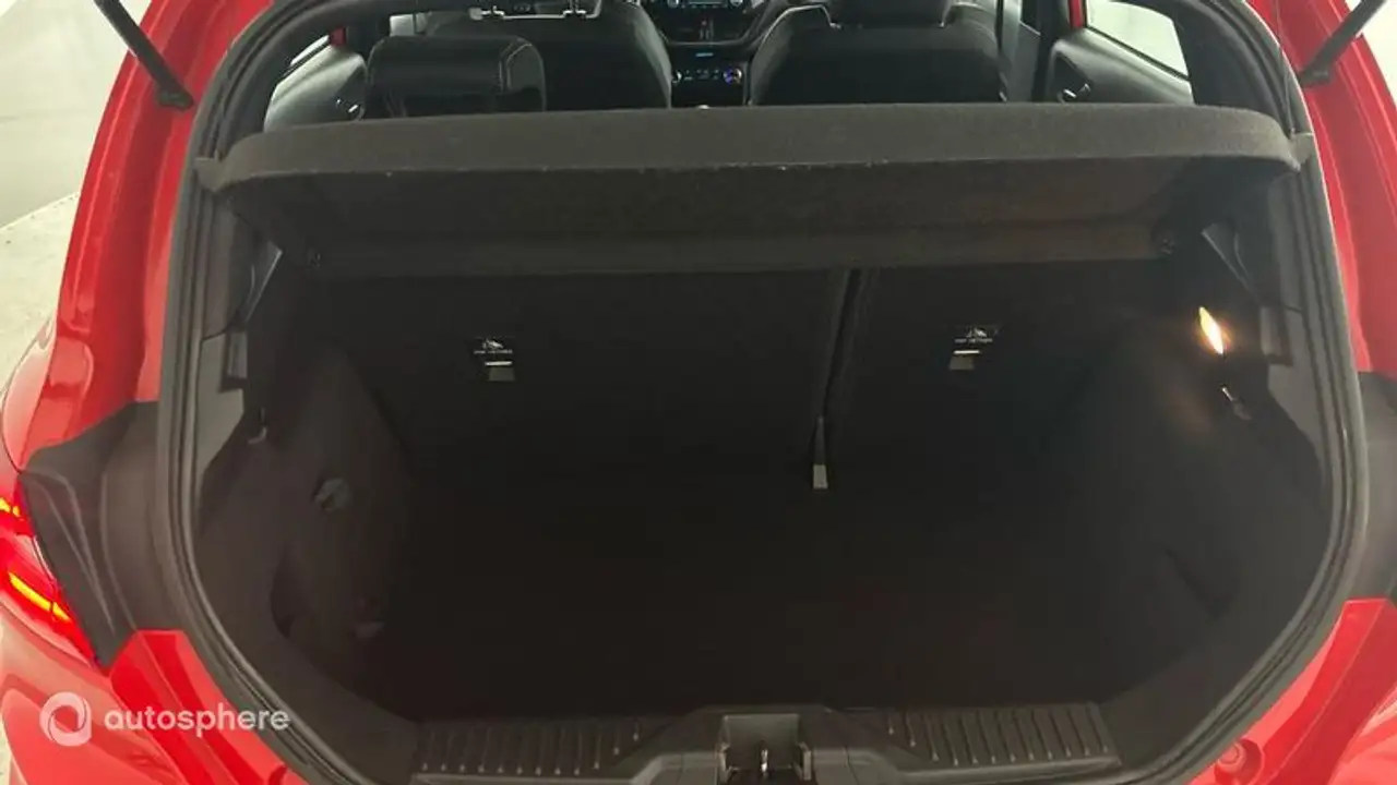 Ford Fiesta ST — photo 14