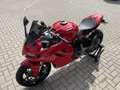 Ducati SuperSport SC Projects Rouge - thumbnail 15