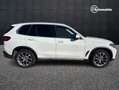 BMW X5 X5 xdrive25d xLine auto Weiß - thumbnail 5