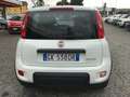 Fiat Panda My21 1.0 70cv Hybrid City Life Blanco - thumbnail 5