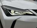 Lexus UX 250h AWD Luxury Line A/T + FABRIEKSGARANTIE Blanc - thumbnail 21