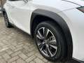 Lexus UX 250h AWD Luxury Line A/T + FABRIEKSGARANTIE Weiß - thumbnail 24