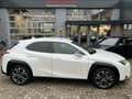 Lexus UX 250h AWD Luxury Line A/T + FABRIEKSGARANTIE Wit - thumbnail 1