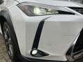 Lexus UX 250h AWD Luxury Line A/T + FABRIEKSGARANTIE Blanc - thumbnail 23