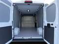 Toyota Proace Max Max Prowork L3 H2 Heavy 35+ 2,2 D-4D 6-Gang 4t. Weiß - thumbnail 4