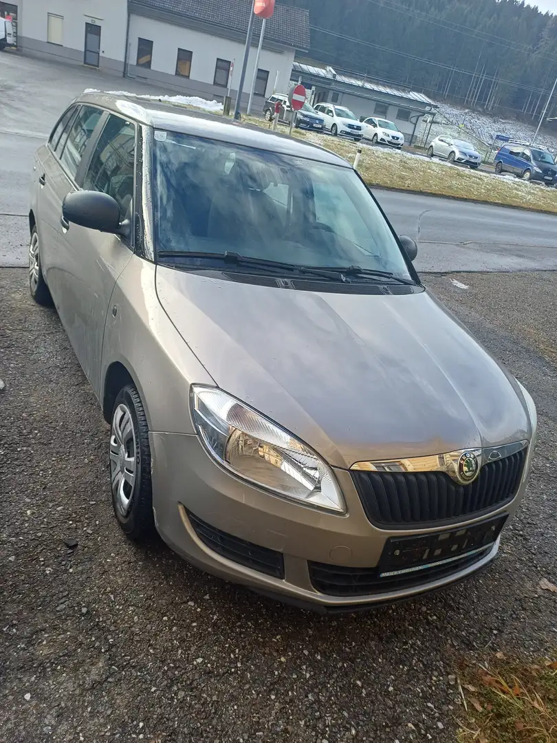 Skoda Fabia Fabia Combi GreenLine 1,6 TDI Grau - 1