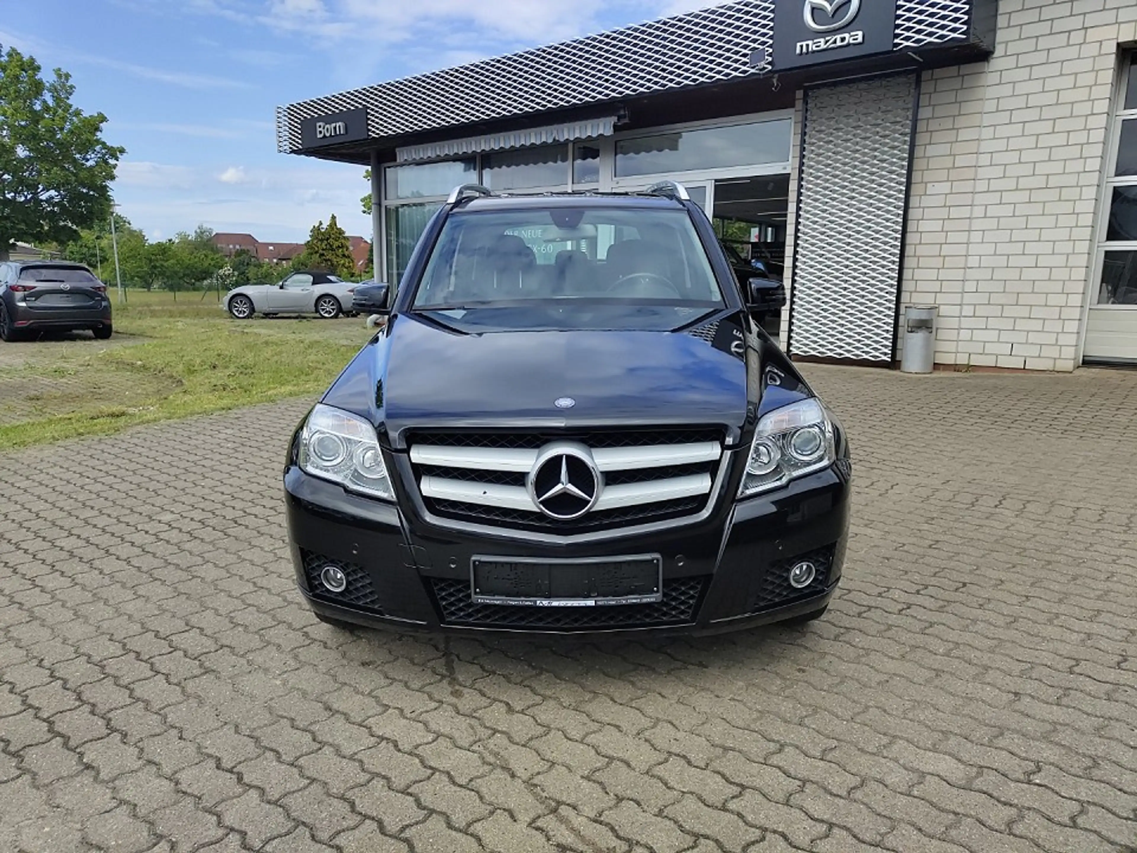 Mercedes-Benz GLK 300 4-Matic (204.981)