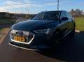 Audi e-tron e-tron 50 launch Blue - thumbnail 6