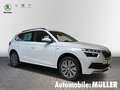 Skoda Kamiq EU6d-T Tour 1.0 TSI 81 kW Blanc - thumbnail 3