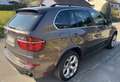 BMW X5 BMW X5 xDrive 30d E70 - TÜV NEU, Edition Exclusiv Marrón - thumbnail 4