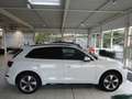 Audi Q5 50TFSI e S-tronic quattro S line KLIMA LED NAVI L Blanc - thumbnail 10