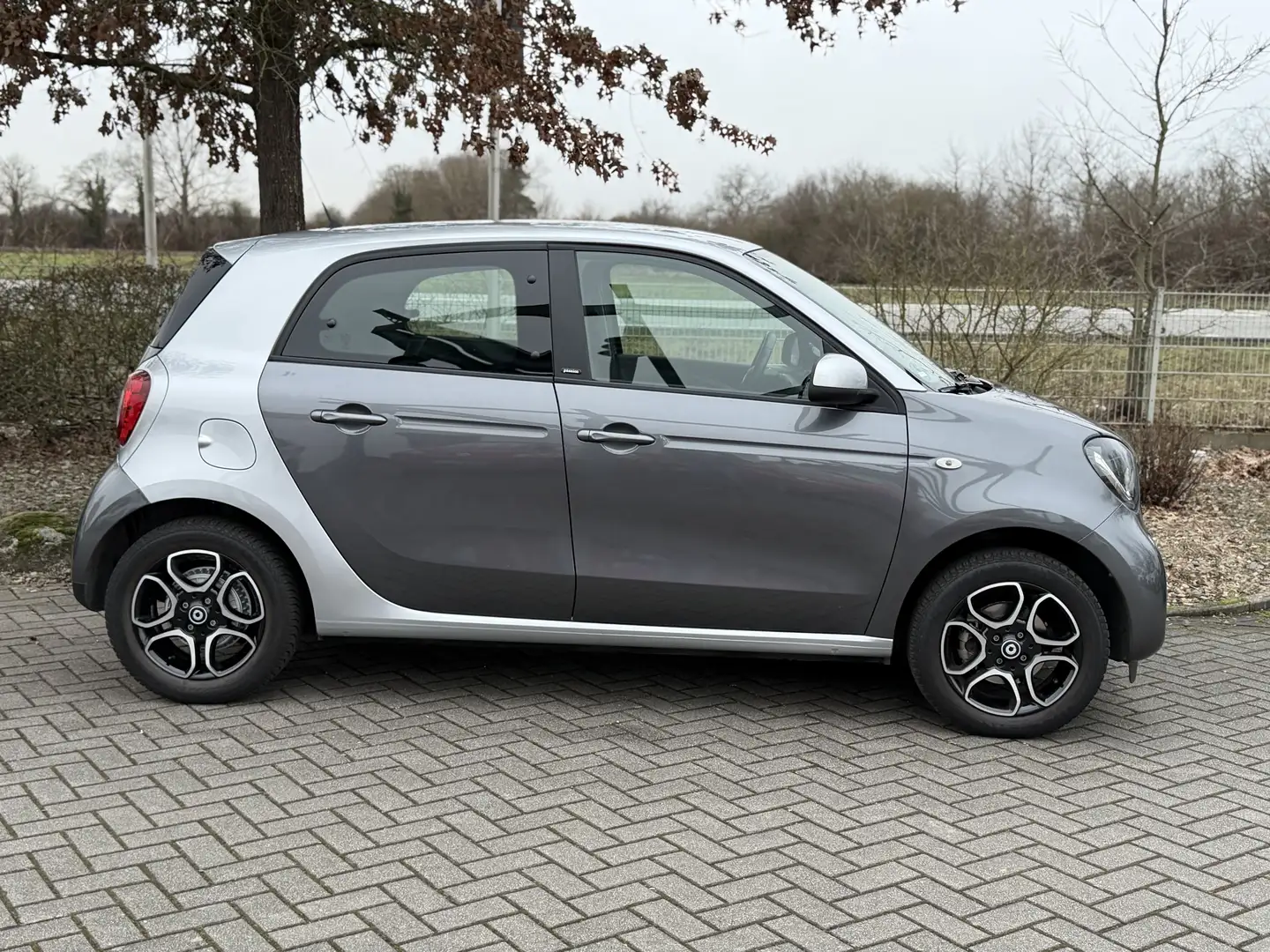 smart forFour Basis / Automatik / nur 10.050 Km / SZH Grau - 2