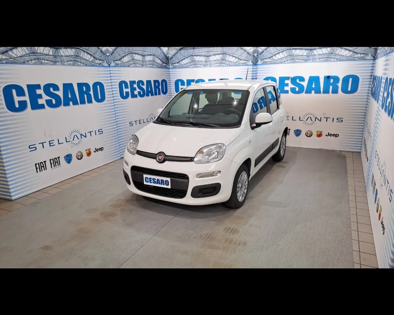 Fiat New Panda 1.2  Easy Bianco - 2