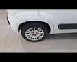 Fiat New Panda 1.2  Easy Bianco - thumbnail 13