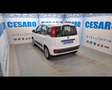 Fiat New Panda 1.2  Easy Bianco - thumbnail 4