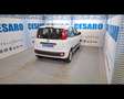 Fiat New Panda 1.2  Easy Bianco - thumbnail 3