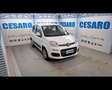 Fiat New Panda 1.2  Easy Bianco - thumbnail 1