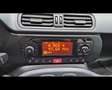 Fiat New Panda 1.2  Easy Bianco - thumbnail 8