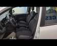 Fiat New Panda 1.2  Easy Bianco - thumbnail 21