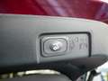 Ford Puma 1.0 ST-Line X-Berry SHZ NAVI ACC B&O LED Rot - thumbnail 8