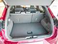 Ford Puma 1.0 ST-Line X-Berry SHZ NAVI ACC B&O LED Rot - thumbnail 7