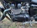 Triumph Bonneville T100 Black Negru - thumbnail 7