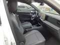 Volkswagen Tiguan 2.0 TDI DSG Life Navi AHK IQ.LIGHT - HD-M Weiß - thumbnail 11