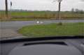 BMW X1 sDrive18i High Executive Achteruitrij camera Head Azul - thumbnail 19