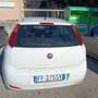 Fiat Punto Punto III 2012 5p 1.4 natural power Lounge 70cv E6 Bianco - thumbnail 4