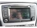 Skoda Octavia Combi 1.2 TSI AHK SD SHZ Temp PDC Klimaautom Berga Braun - thumbnail 20