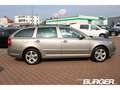 Skoda Octavia Combi 1.2 TSI AHK SD SHZ Temp PDC Klimaautom Berga Braun - thumbnail 3