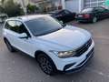 Volkswagen Tiguan 2.0 TDI Life DSG Scheckhft u-frei Tuv neu AHK Navi Blanc - thumbnail 4