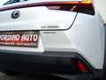 Lexus UX 250h 184CV Hybrid Luxury 4wd Bianco - thumbnail 14