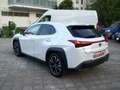 Lexus UX 250h 184CV Hybrid Luxury 4wd Bianco - thumbnail 2