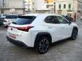 Lexus UX 250h 184CV Hybrid Luxury 4wd Bianco - thumbnail 3