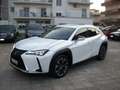 Lexus UX 250h 184CV Hybrid Luxury 4wd Bianco - thumbnail 1