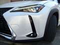 Lexus UX 250h 184CV Hybrid Luxury 4wd Bianco - thumbnail 15