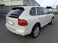 Porsche Cayenne 3.6 *FINANZIABILE* *PCM* *CERCHI 20"* *XENO* Blanc - thumbnail 4