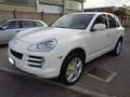Porsche Cayenne 3.6 *FINANZIABILE* *PCM* *CERCHI 20"* *XENO* Wit - thumbnail 2