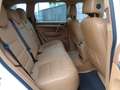 Porsche Cayenne 3.6 *FINANZIABILE* *PCM* *CERCHI 20"* *XENO* Wit - thumbnail 9