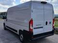 Fiat Ducato L3 H2 2.3 MJT 140 CV SERIE 9 NUOVO! Bianco - thumbnail 6