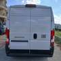 Fiat Ducato L3 H2 2.3 MJT 140 CV SERIE 9 NUOVO! Bianco - thumbnail 26
