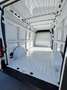 Fiat Ducato L3H2 2.3 MJT 140 CV SERIE 9 NUOVO! Blanco - thumbnail 31