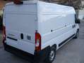 Fiat Ducato L3 H2 2.3 MJT 140 CV SERIE 9 NUOVO! Bianco - thumbnail 23