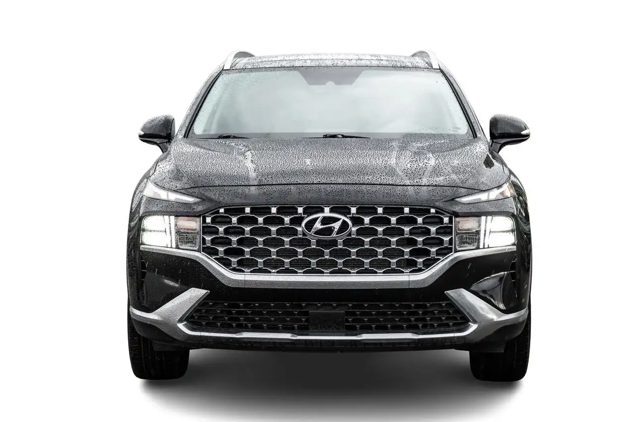 Hyundai SANTA FE photo Hyundai SANTA FE