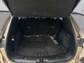 Ford Kuga 2.0 EcoBlue AWD Titanium Aut. AUT Distr PTS Grau - thumbnail 18