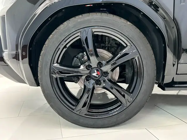 Dacia Duster view 10